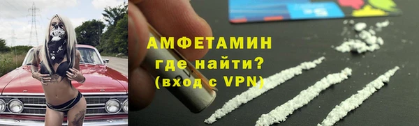 прущие грибы Нефтекумск