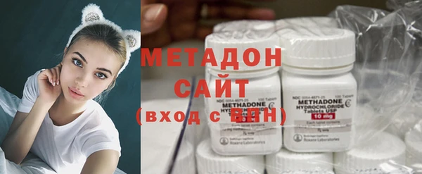 прущие грибы Нефтекумск