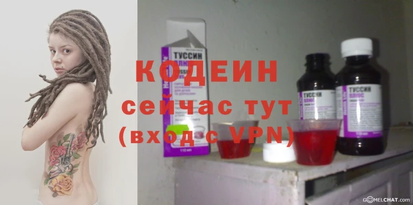 мдпв Новозыбков