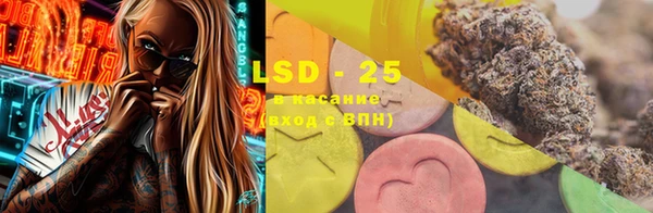 прущие грибы Нефтекумск