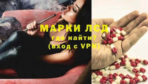 прущие грибы Нефтекумск