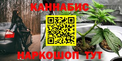 метадон Гусев