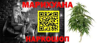 сатива Аргун