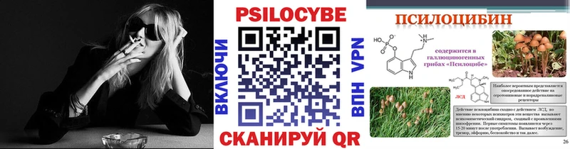 Псилоцибиновые грибы Cubensis  Пенза 