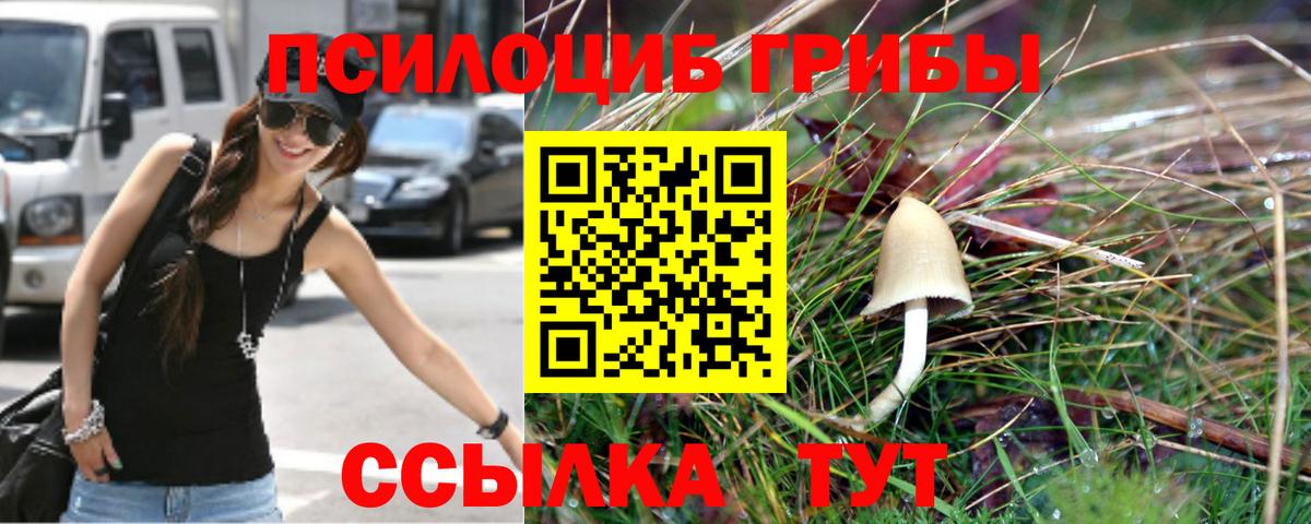 Галлюциногенные грибы прущие грибы  Вход с VPN  Пенза 