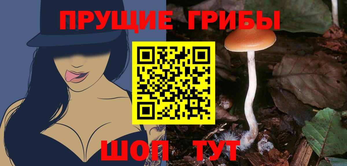 МЕТАМФЕТАМИН  NBOMe  Alpha-PVP СОЛЬ   Меф кристаллы  МАРИХУАНА  LSD-25  Пенза  Кокаин  Конопля  ГАШИШ  Купить наркотики цена  АМФ  