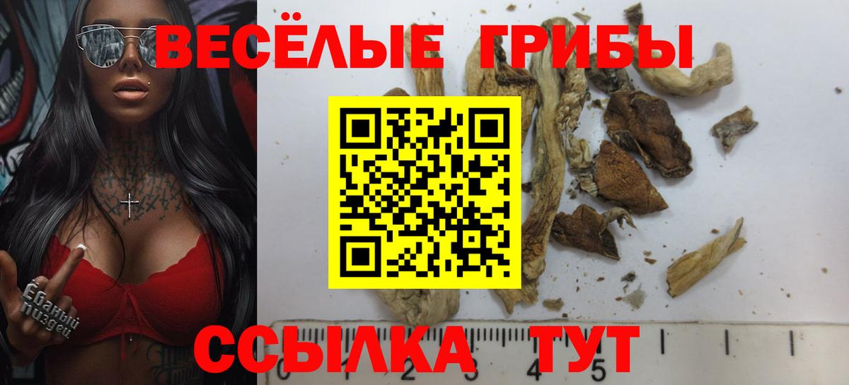 Псилоцибиновые грибы мухоморы  сколько стоит  Псилоцибиновые грибы GOLDEN TEACHER  Пенза 