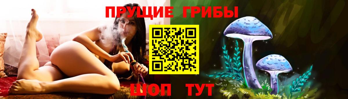 Псилоцибиновые грибы Cubensis Пенза